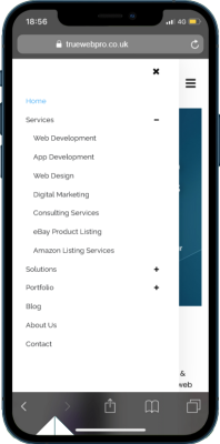 Truewebpro IT Services
